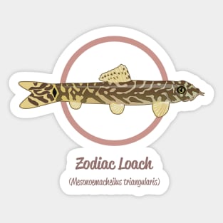 Zodiac Loach Sticker